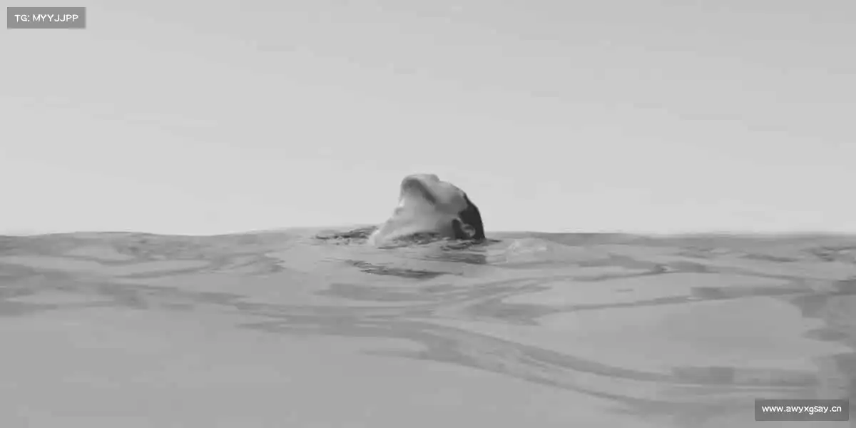 南宫NG28🏃♂️运动不止步，每一步都是新起点！